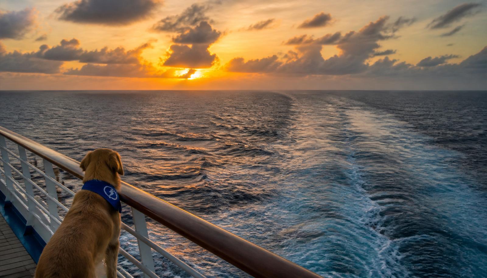 Transatlantic & World Cruise eSIM